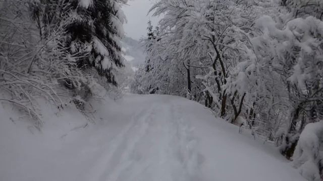 2017 01 15 Тухля та околиці Тухлі взимку смотреть онлайн