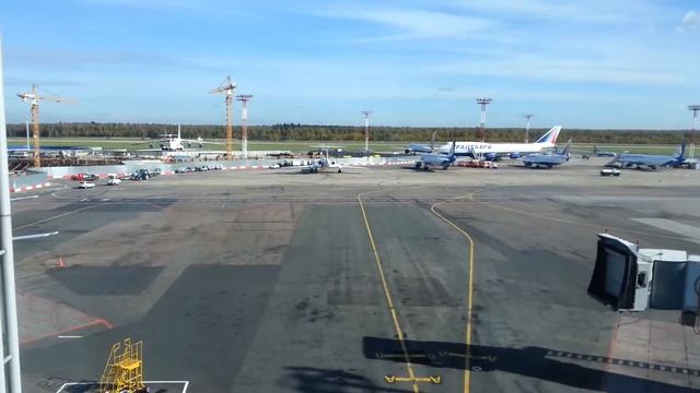 в аэропорту ДОМОДЕДОВО