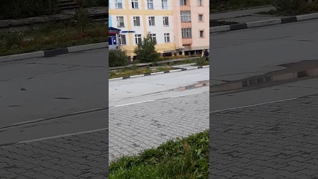 Чукотка найс смотреть онлайн