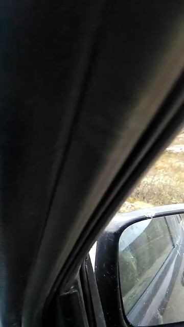 Дальние Зеленцы