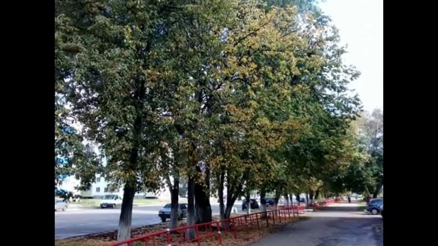 осень в нашем городе смотреть онлайн