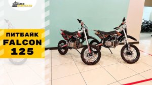 Питбайк Falcon 125