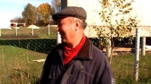 Березовая аллея в Отрадном