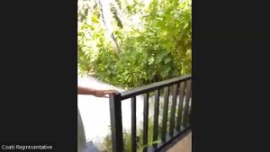 Мальдивы. Fiyavalhu: Прямой эфир прямиком с отеля. Обзор курорта Fiyavalhu.