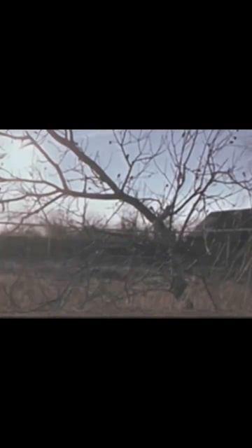 Заброшенные места есть конечно и в Краснодарском крае, но скоро всё изменится! #всёизменится #красн смотреть онлайн