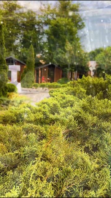 Бронируйте путешествие заранее на осень и зиму со скидкой 15% #сочи #наморе #лазаревское #beach смотреть онлайн