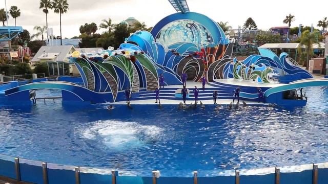 Шоу дельфинов в Sea World в Сан-Диего, фрагмент смотреть онлайн
