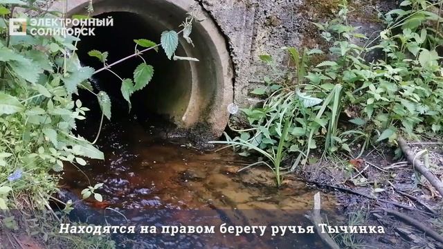 Урочище "Родники" смотреть онлайн