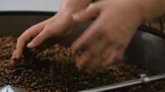 Santore, мы ищем партнёров! смотреть онлайн