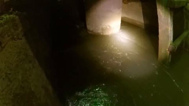 Всё ещё четверг .Легководолазное снаряжение НС 2 смотреть онлайн