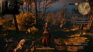 Ведьмачьи древности: улучшение школы грифона 2. The Witcher 3 Wild Hunt .