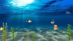 Футаж Подводный Мир Background Underwater World