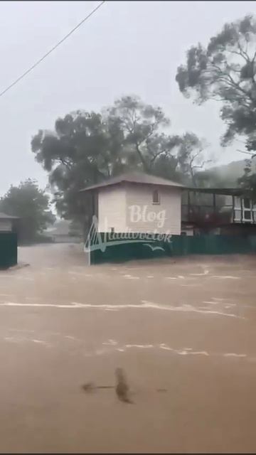 Приморье топит: ушло под воду село Андреевка смотреть онлайн