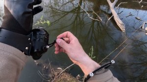 Начало сезона2025