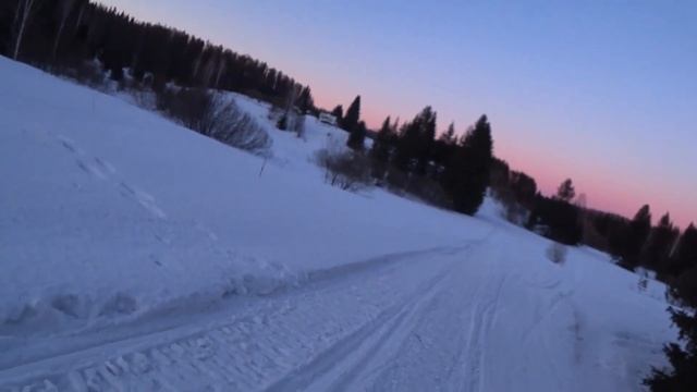 Пелемешки под елкой в палатке на ночь глядя