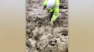 Случай на работе!