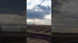 1000004642.mp4