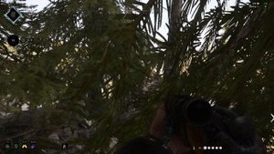 Почему эти точки сбора стали самыми безопасными в текущем сезоне