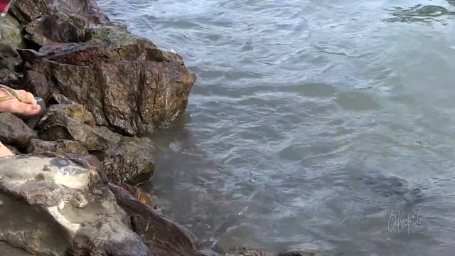 Кофе на берегу Катуни, Горный Алтай, Чемал - 2021 смотреть онлайн