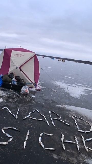 #Shorts #рыбалка #fishing #рыба #fish #Удочка #природа #nature #отдых #путешествия #rest #Сибирь смотреть онлайн