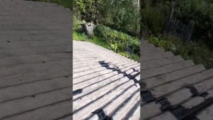 Латаем крышу из шифера