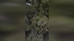 Путешествие на автомобиле Новосибирск - Крым 2020г