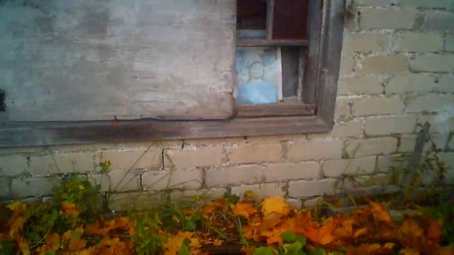 На деревне урожай и осень. смотреть онлайн