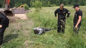 Введенское-Борисовка. Пасечник Павел Кугай избит и связан охраной ОАО Керамо