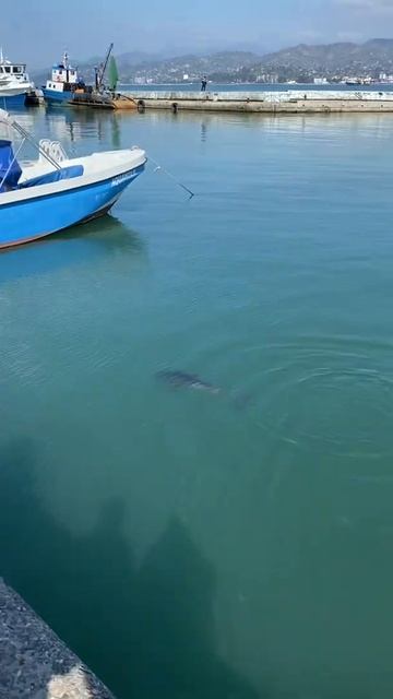 Батуми весной 2020 смотреть онлайн