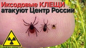 🔥КЛЕЩИ АТАКОВАЛИ🕷Центральную РОССИЮ🔥