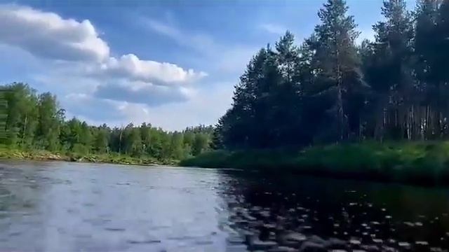 Клуб Активного Интересного Отдыха Дзержинск - сплав на байдарках