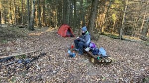 Кузьмичевание в осеннем лесу. Ночевка в палате.