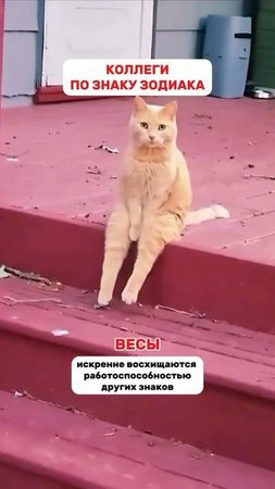 Работнички
