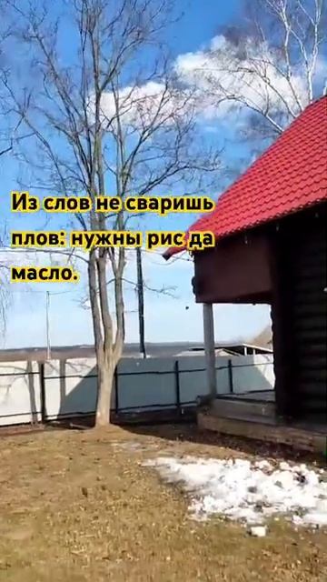 Из слов не сваришь плов. душа природа крылатая мудро?