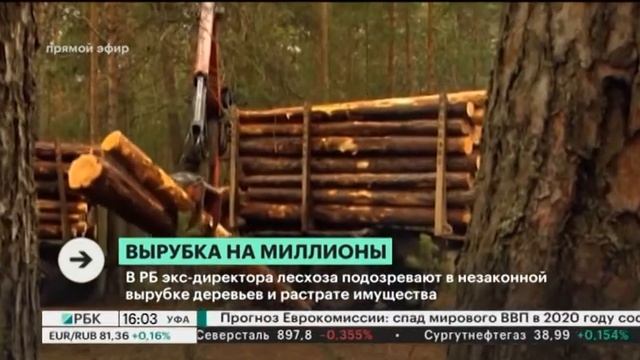 В РБ экс-директора лесхоза подозревают в незаконной вырубке деревьев и растрате имущества смотреть онлайн