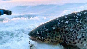 ПОТЕРЯЛИ снегоход. Снова остался один на бескрайних разливах. ВТВ.