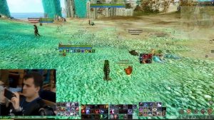 Обзор на коллекцию "Боевые питомцы" Archeage.