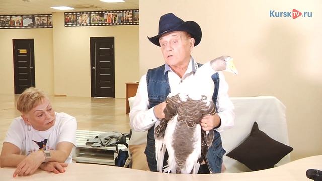 Артисты Пингвин Шоу заглянули в редакцию КурскТВ смотреть онлайн