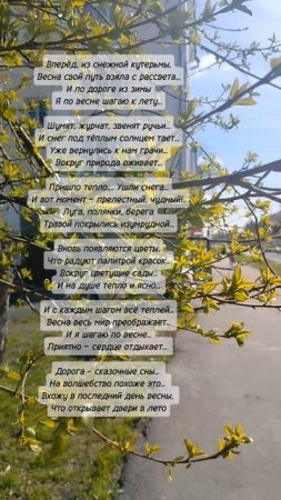 Весна #стихиовесне #стихиожизни #природа #поэзияжизни