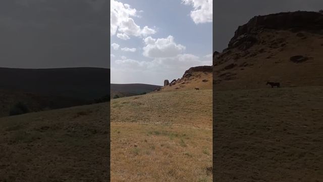 Сакральные места Казахстана. ЮКО 05.07.2022г