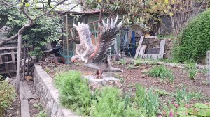 Что новенького? Как мы живём, поселок Массандра, Ялта, Крым