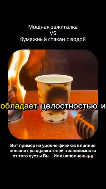 Внутренняя целостность