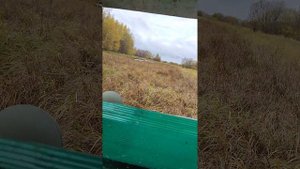 вездеход по болоту