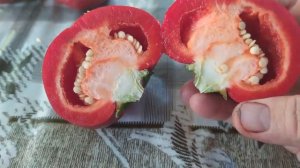 Cладкий перец Колобок.Урожайный, мясистый, толстостенный, очень вкусный!