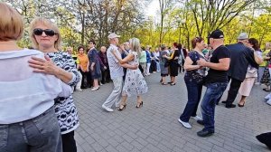 20.04.25г..."КЛЕН"...