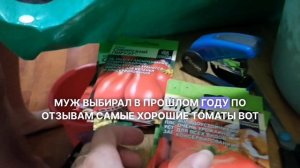 Зимний огород закончен, посадка томатов на рассаду.