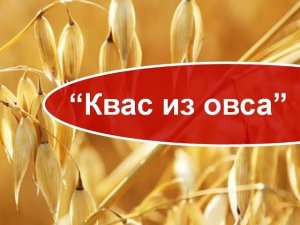 Квас из овса