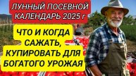 Благоприятные дни для посадки в апреле 2025 года по Лунному календарю 🌱🌕