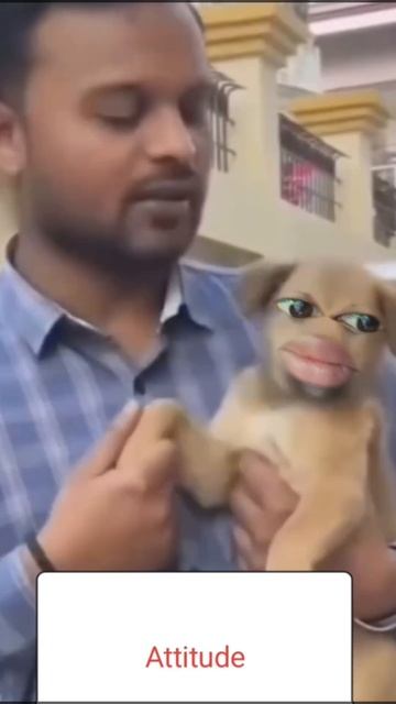 dog comedy video #shorts #comedy #viral смотреть онлайн
