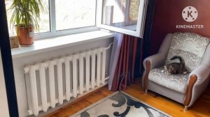 Анука Давайка RYTP 1.У Рыжульки поехала крыша)))